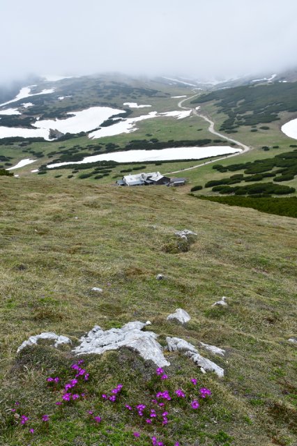 2-Tages-Ausflug Schneeberg und Wien im Juni 2023