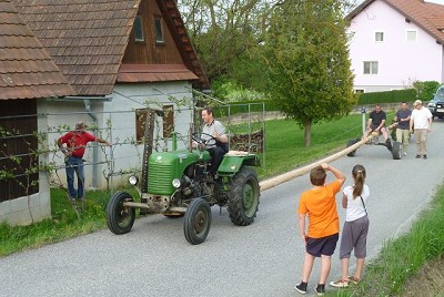 Maibaumaufstellen 2013