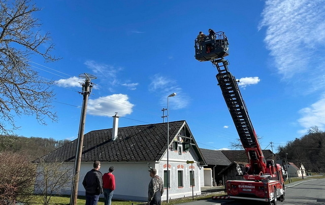 Basis für Storchennestbau im Dorf errichtet